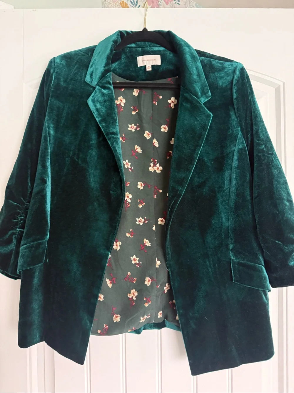 Skies Are Blue Velvet Blazer Jacket in Deep Green - Picture 1 of 12